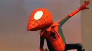 Spider Kermit Spiderfrog