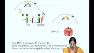 ⁣Mod-07 Lec-13 The three complement pathways