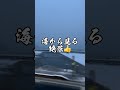トラック野郎シリーズ!!️雪の松島走行編 #ツルキン #ツルアタマキング #松島#大型トラック