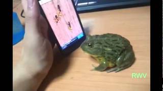 Win Luck Compilation of 2011 Part 2