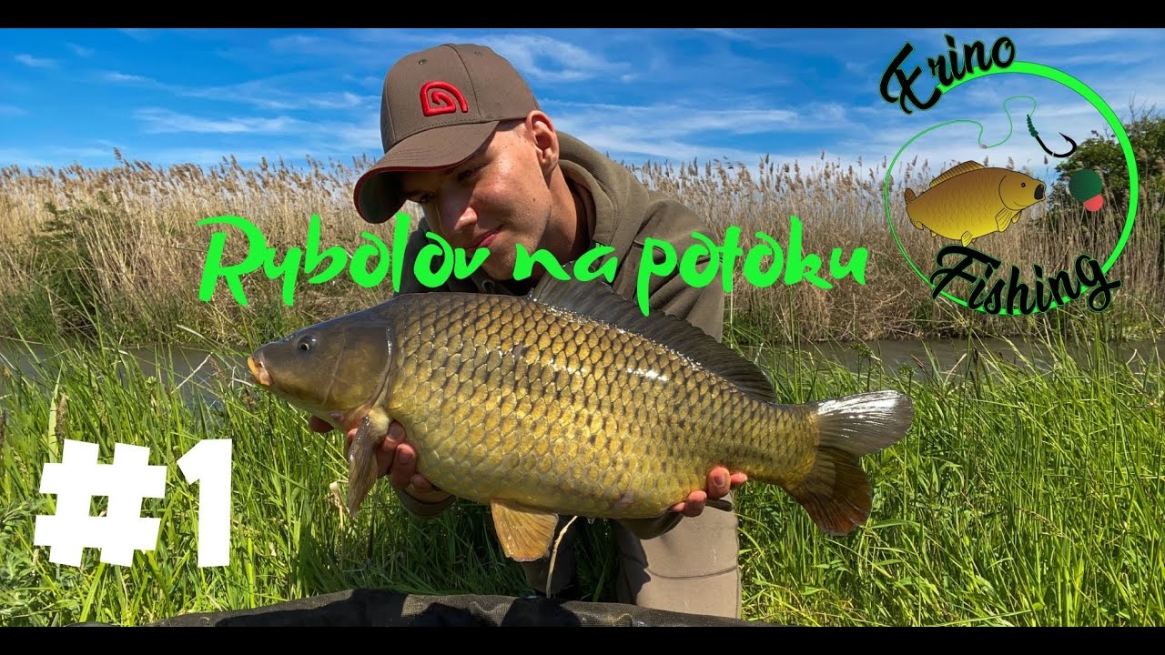Rybárske videa #1 - Lov kaprov na malom potoku