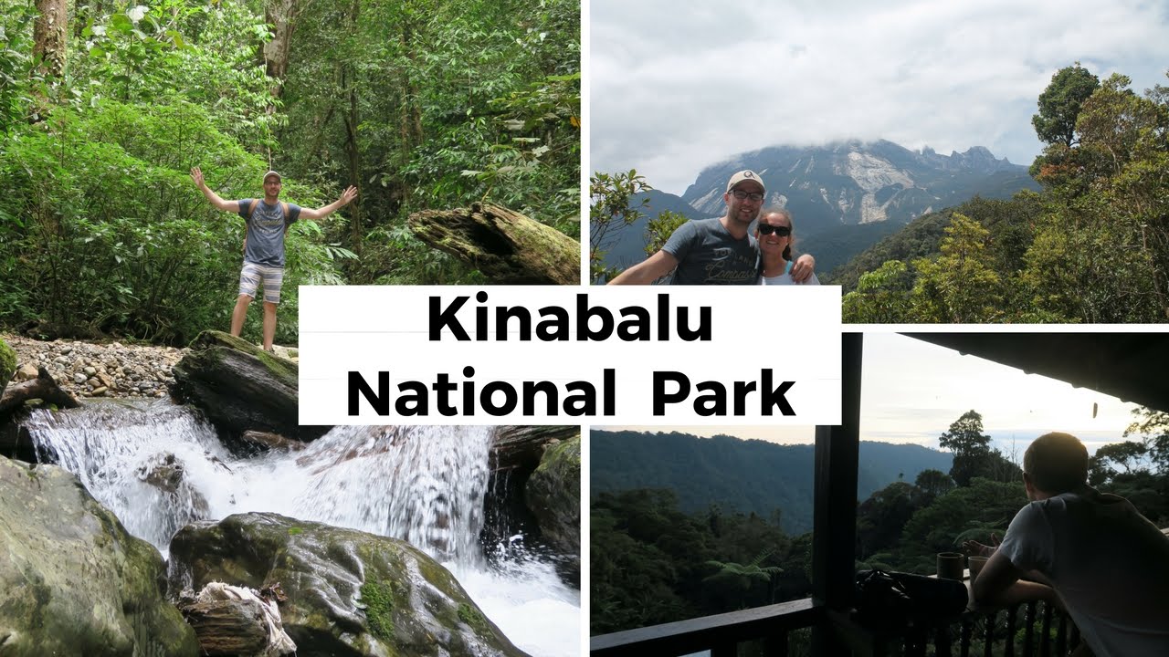 Kinabalu National Park Sabah, Borneo Ep. 2 YouTube