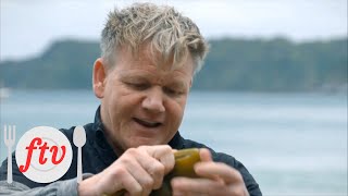 Gordon Goes Diving for Paua | Catch and Cook