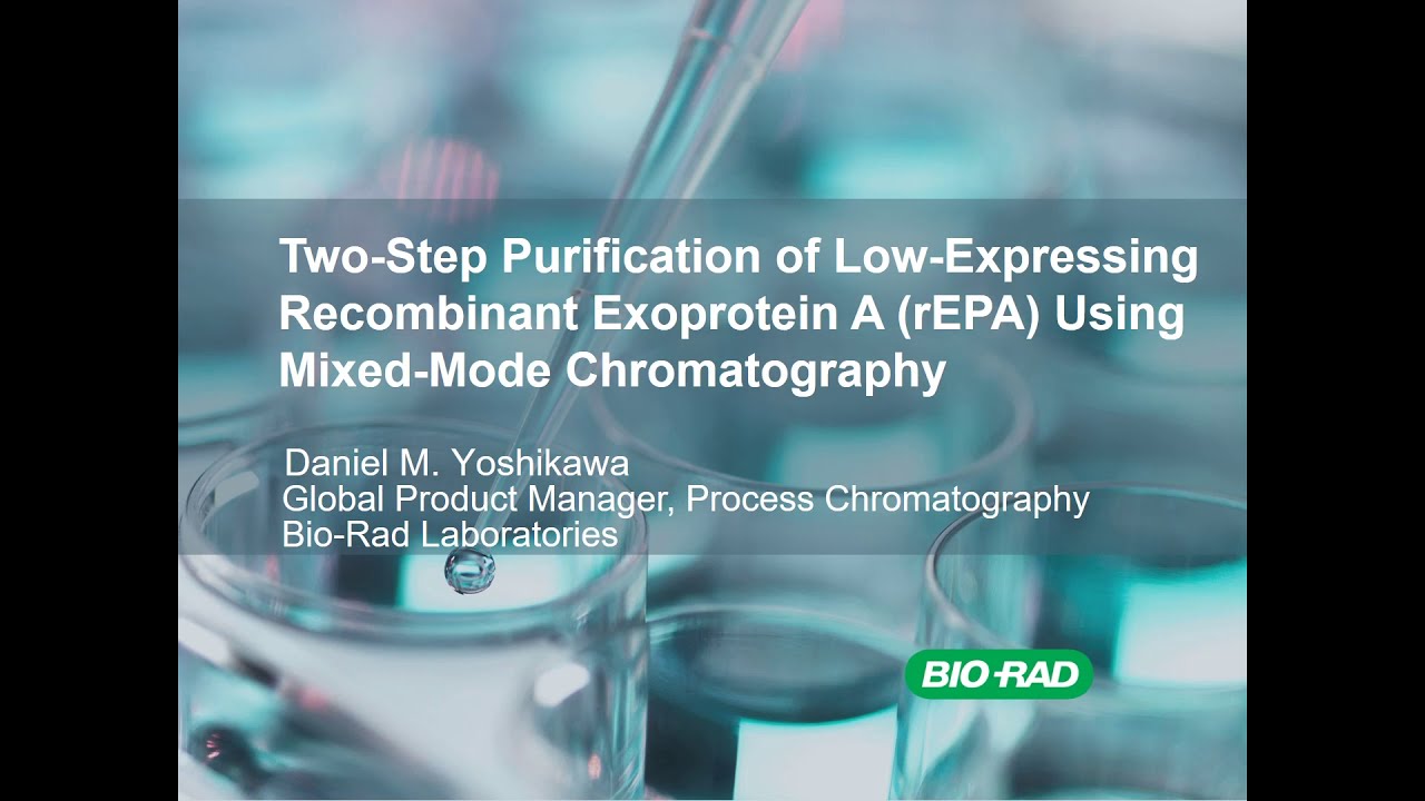 Two-Step Purification of Low-Expressing Recombinant Exoprotein A Using Mixed-Mode Chromatography