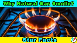Why Natural Gas Smells: The Lifesaving Reason You Need to Know!