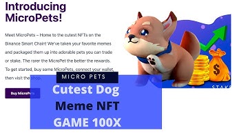 Micropets PETS Coin-NEW NFT GAME & STAKING ON BSC