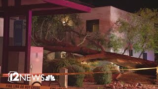 Residents rescued after tree falls into Scottsdale apartment complex