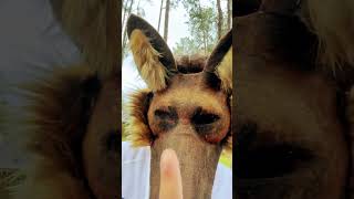 Special Someone Im About To Met