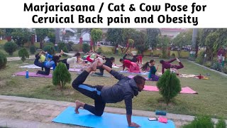 Marjariasana / Cat & Cow Pose for Cervical Back pain and Obesity