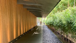 東京美術館カフェ巡り|カフェ1894丸の内|NEZUCAFE根津美術館中庭の風景