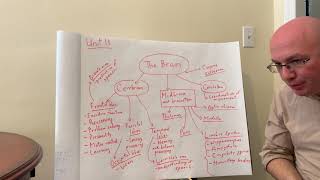 Unit 13 Central Nervous System Lecture