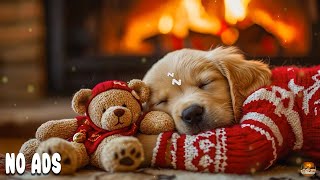 12 HOURS Dog Music 🐶Calming Music for Dogs 🐶Anti-Separation Anxiety Relief Music 🎵 Deep Sleep Music