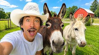 I Built My Donkey's Dream Pasture...