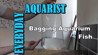 How To Bag / Transport Aquarium Fish