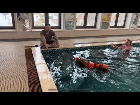 ผลสลากกินแบ่งรัฐบาล วันที่ 1 พย. 2567