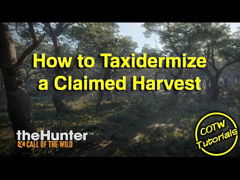 Video: Apakah itu taxidermize the hunter?