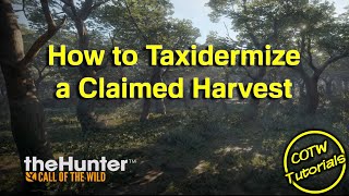 theHunter: Call of the Wild - How to Taxidermize a Claimed Harvest screenshot 4