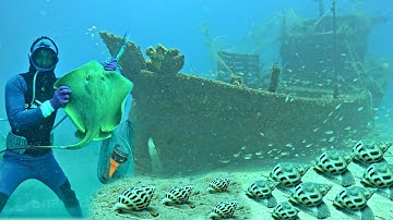 Liều Mình Lặn Xuống Độ Sâu 20 Mét Nước Phát Hiện Ổ Ốc Hương Cá Đuối Nghệ To | P 641