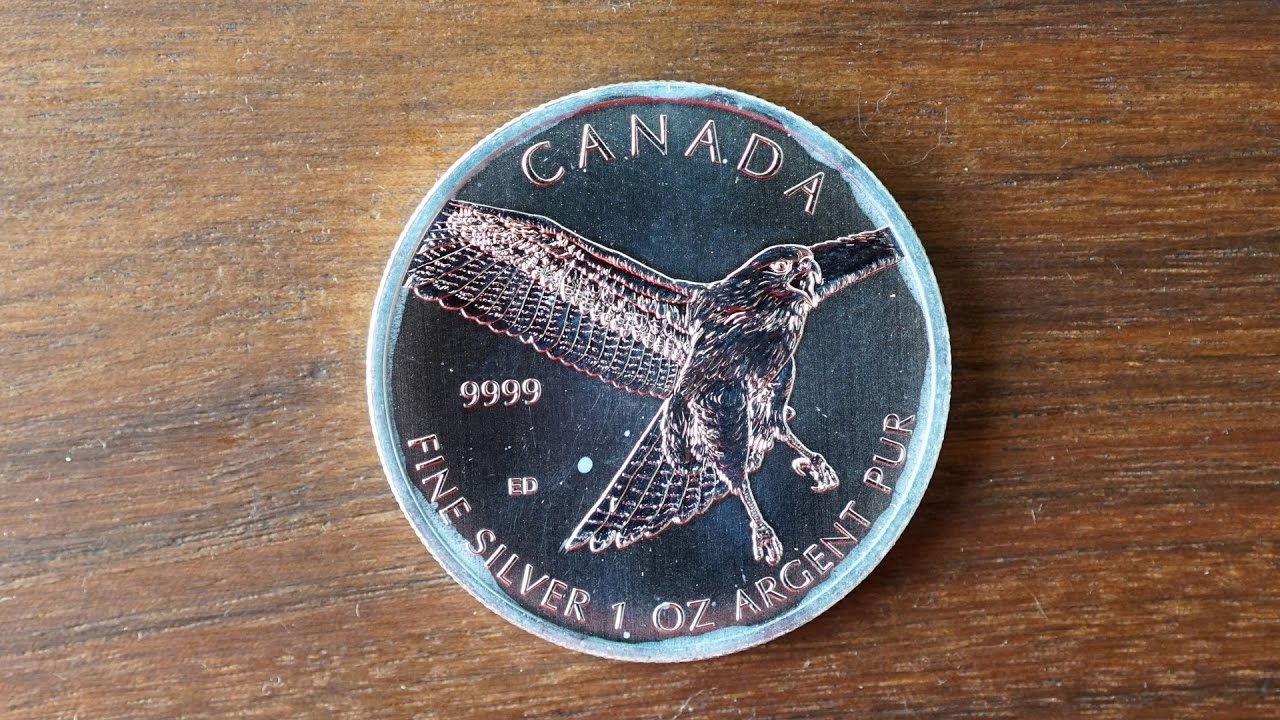 2015 1 oz Canadian Silver Red-Tailed Hawk | Birds of Prey Review