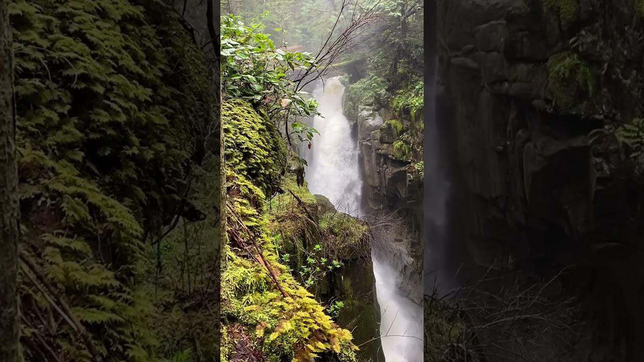 Cypress falls, west Vancouver waterfall