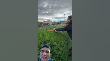 Cắt tỉa cây cảnh ở Mỹ #satisfying