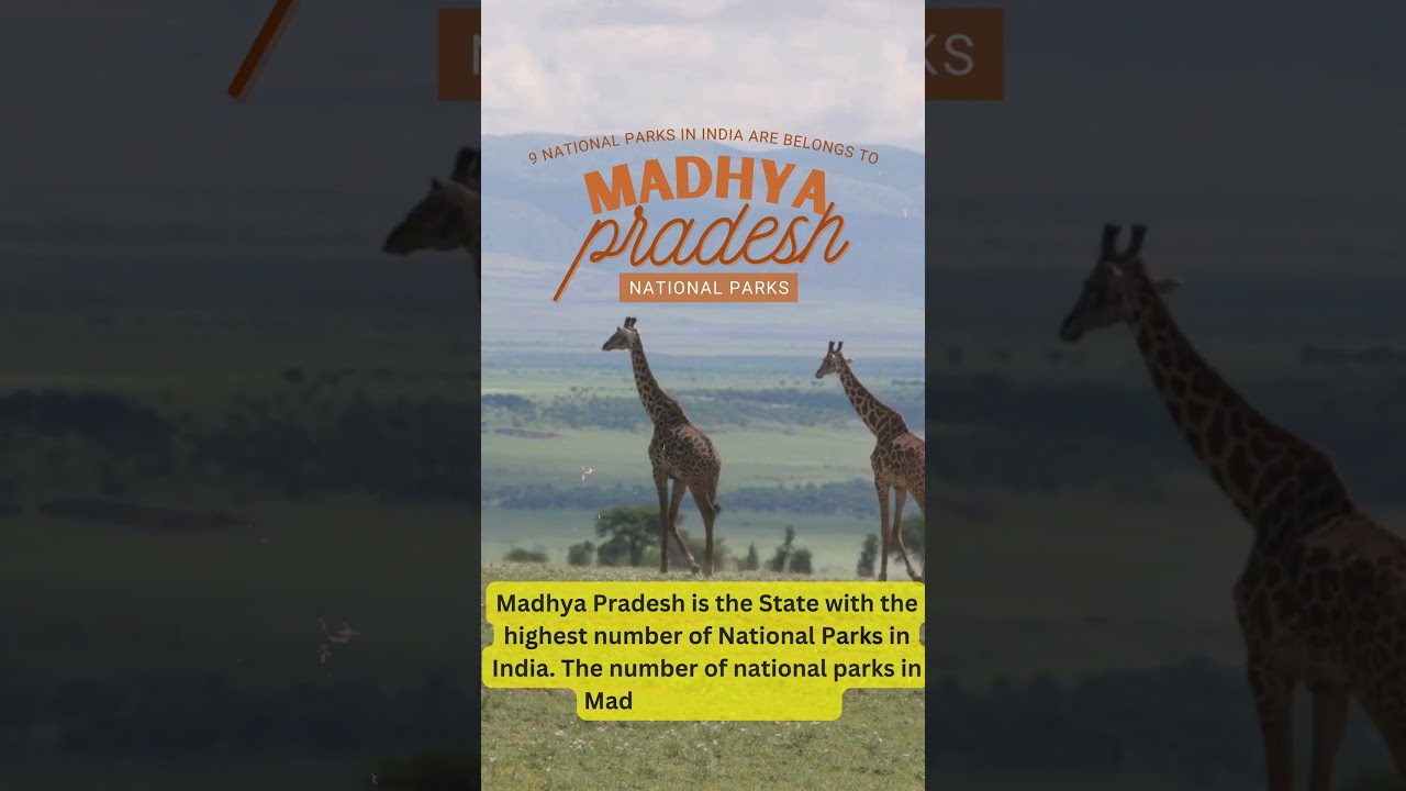 "Discovering Wilderness: A Journey through Madhya Pradesh's Enchanting National Parks" #quiz #india