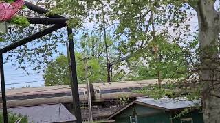 Amtrak Northeast Regional Passes Through Zoo Interlocking 4192026