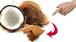 How to make coco peat from coconut coir at home easy way