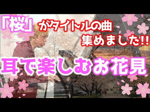 【耳で楽しむ 聴くお花見】「桜ソングメドレー」 (コブクロ・森山直太朗・FUNKY MONKEY BABYS・ケツメイシ・河口恭吾)タイトルが〝桜〟の曲弾いてみた！！
