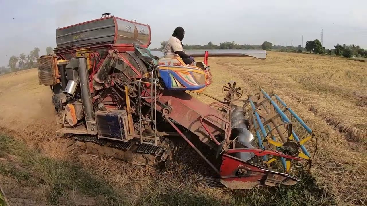 ปล่อยโอเกี่ยวข้าวพิษโลก 80 ครั้งแรกก็เจองานหยาบเลยระดับไร่ละเกวียน