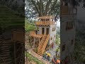 Abandoned Tree Turned Into Luxury Sky Treehouse 🌿 #constructiontimelapse