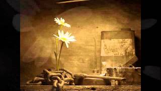 Agoria feat. Scalde - *Solarized*