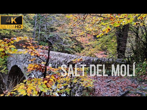 🏞️ Cascada del