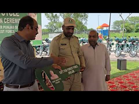 Jhelum Forest Department Becomes More Active, Intensifies Measures for Forest Protection