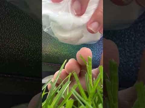 Like and follow and I’ll post full video on Friday✨  #tingles #asmrsound #feetcare #oddlysatifying