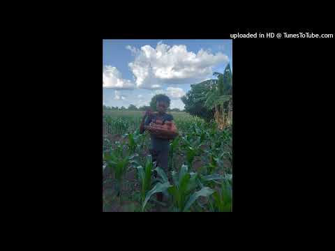 2025 NYANDA HELA SONG BHUDEMI MPYA 0762081454 PRD BY MBASHA STUDIO AUDIO 0761339347 128k 