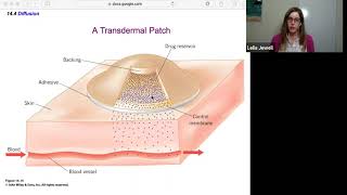phys2A ch14.4 Diffusion 14 4 Diffusion
