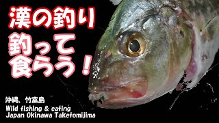 【沖縄グルメ】沖縄移住生活 竹富島、ガーラ釣って！食らう！ [Wild food] Fishing! Eat it!　Okinawa Taketomi Island#9