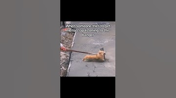 The Biggest Song In The Underground #pluggnb #summrs #iayze #nettspend #osamason #lazerdim700 #music