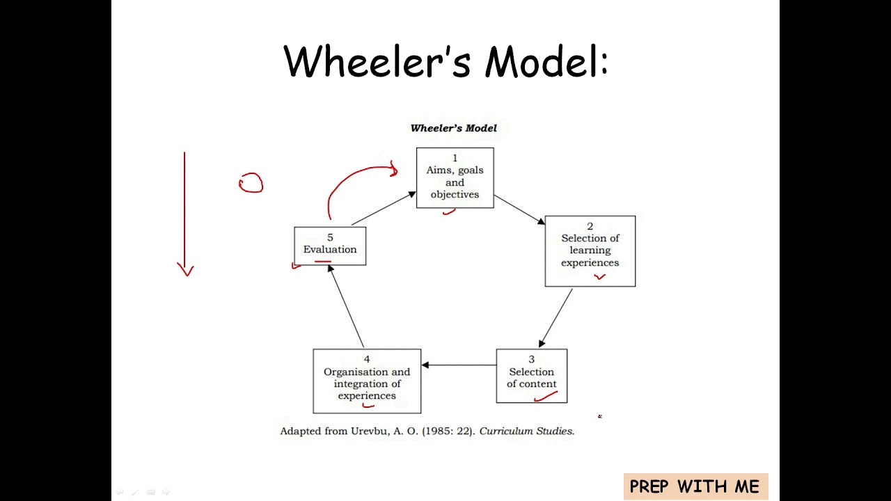 The Wheeler s Model Curriculum Design Model Knowledge And Curriculum