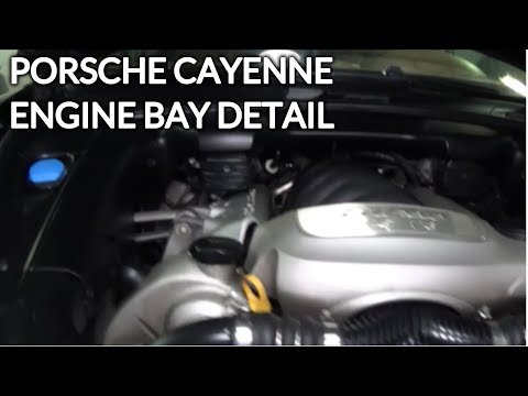 Engine Bay Detailing on A Porsche Cayenne Turbo