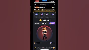 28 august daily cipher code #hamsterkombat #ciphercodes #viralvideo #viralshorts