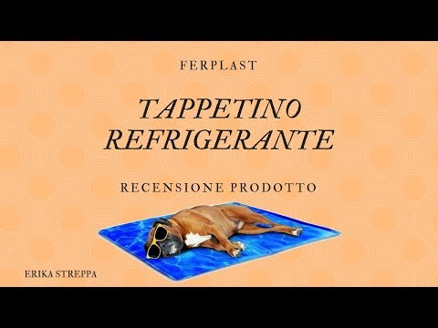 I 10 Migliori Tappetini Refrigeranti Per Cani Cosmico