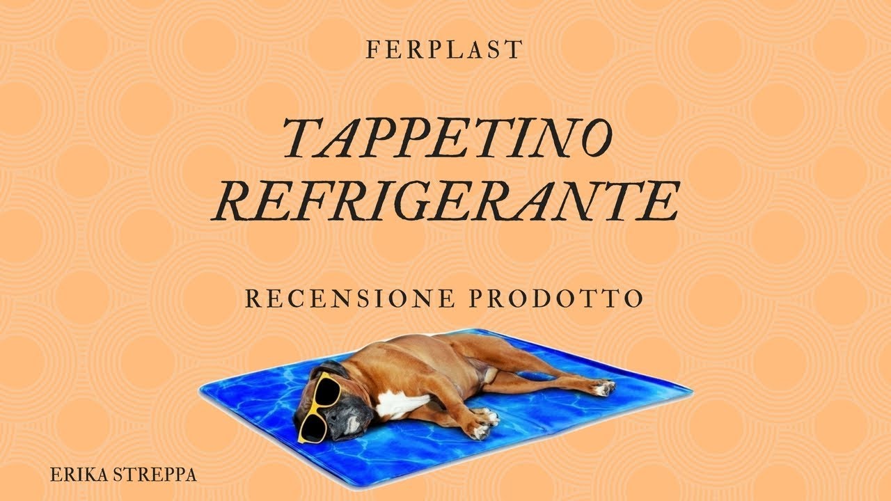 Tappetino Refrigerante Per Cani 8 Curiosita