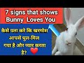 How we know Bunny loves me - 7 signs ? | कैसे पता करे कि खरगोश आपसे घुल-मिल गया है और प्यार करता है?