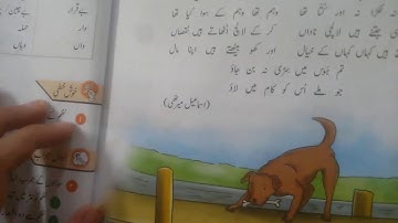 nargas class 4 nazam aik kuta aur aus ke parchain exercise solutions easy answers