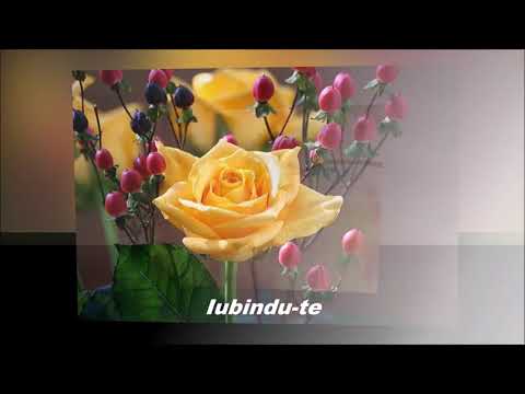💖💖 Te voi iubi toata viata mea 💖💖