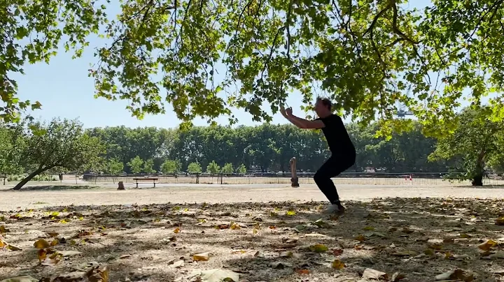 Hung Gar Training Session 洪拳訓練 Aug 2022 (Chiu Wai Style Hung Gar 趙威洪家拳) Hung Gar Kung Fu 洪家功夫