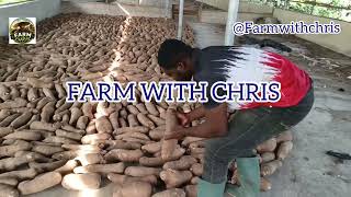 Why Most Farmers Fail..