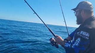 Yellowtail on the NINJA in mosselbay South Africa